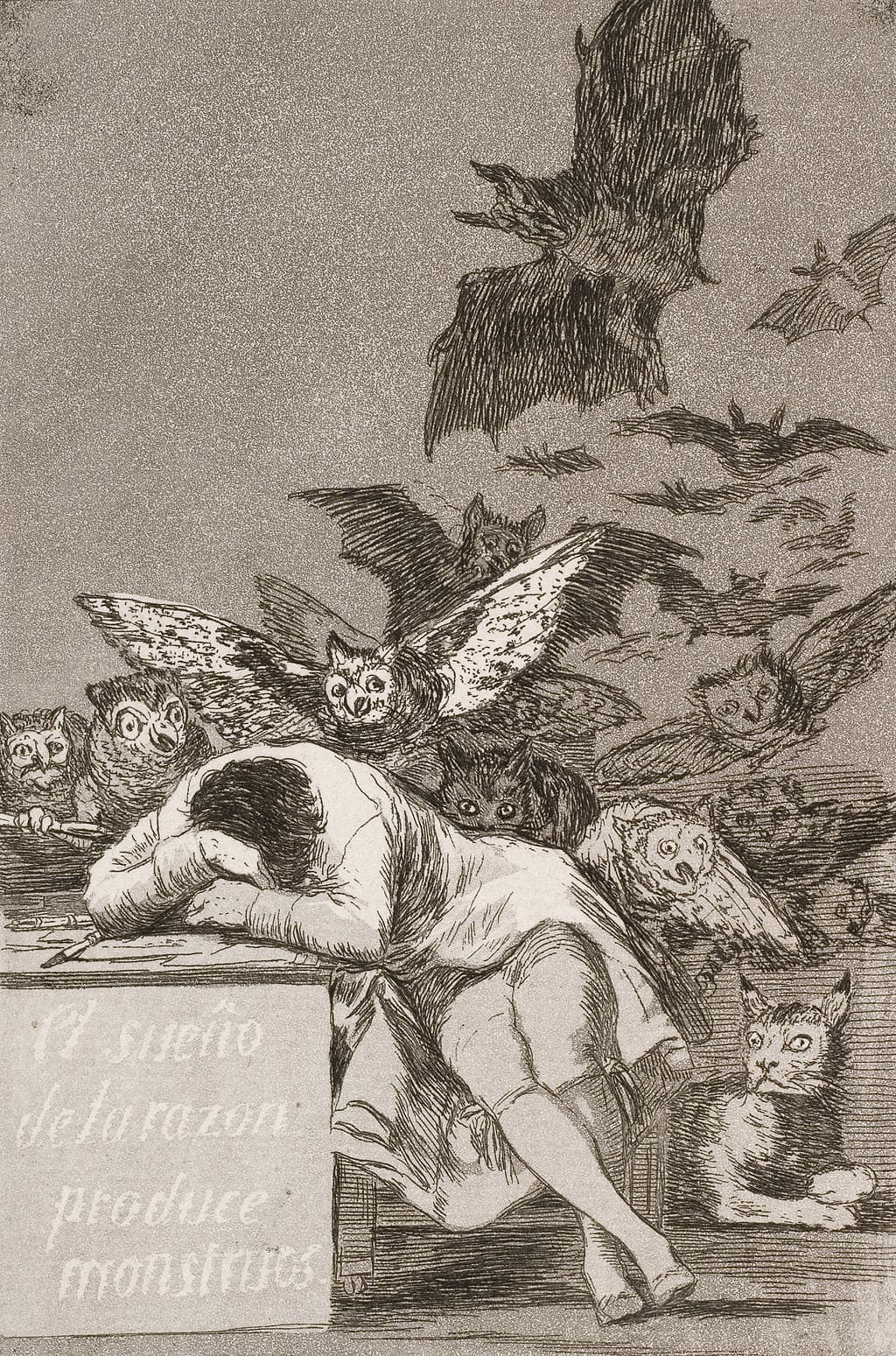 El sueño de la razón produce monstruos, and an aquatint by Francisco Goya made in 1799.