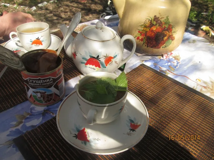 Dacha Ambrosia