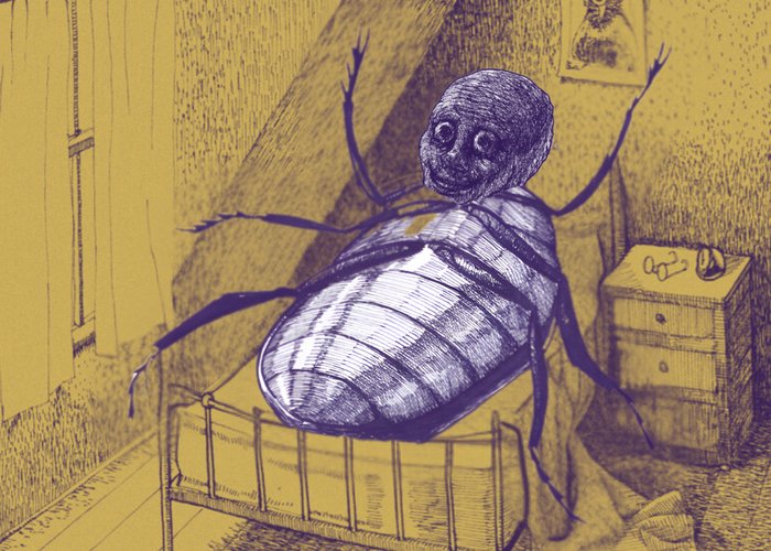 PfU II: How I wanted to become a bug